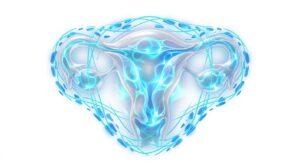의학적 중절수술의 개념과 자궁 보호를 시각화한 3D 일러스트